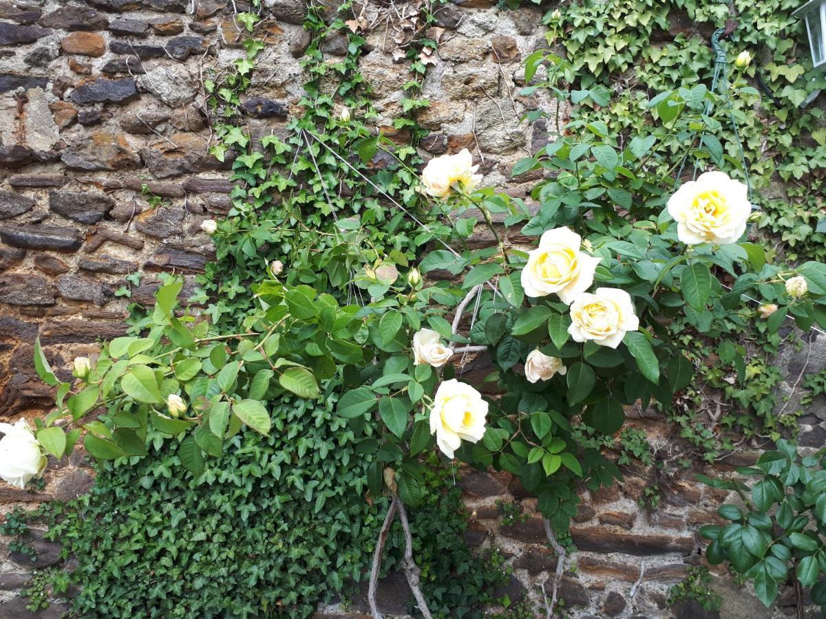 La Maison D'Hotes De Constance Le Mans Esterno foto